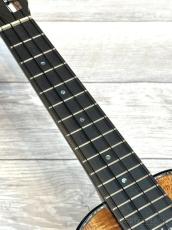 Kamaka HF-2D2I 110th Concert Deluxe #260244 【110周年記念モデル】【コンサート・デラックス】【48回金利0%対象】【送料込】_7