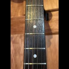 Bacchus BJM-60E WBD w/Anodized Pickguard_6