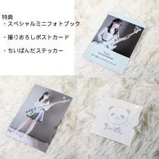 Bacchus WJB-CHIIPAN -LGR-MH (Light Green Matching Headstock)- 《"ちいぱん"シグネイチャーモデル》_11