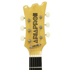 Aria Pro II DM-206 BK【オンラインストア限定】_5