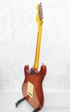 Fender American Professional II Stratocaster HSS -Sienna Sunburst【US240044603】_6