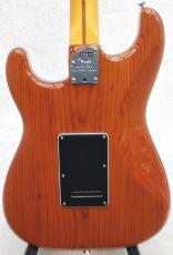 Fender American Professional II Stratocaster -Roasted Pine/Rosewood-【US230002621】_2