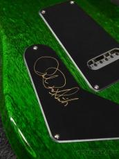 Paul Reed Smith [PRS] 【現地選定品】10th Anniversary S2 Custom 24 Limited Edition -Eriza Verde-【Paul氏直筆サイン入り】_9