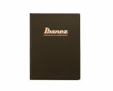 Ibanez VISIONS IV1RG -Amber-【Made In Japan】【受注生産品】_11