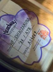 Headway HF-SHIKIZAKURA'26/ATB #A04569【48回迄金利0%対象】_10