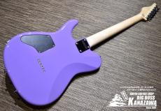 SCHECTER KR-24-2H-FXD-MH/VP R【サウンドメッセ2023!西日本限定!】_6