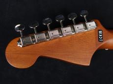 Fender Malibu Player Natural_9