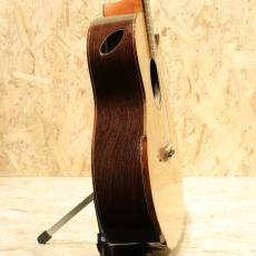 Maestro Guitars ORIGINAL SERIES Raffles WE CSB A 2018_4
