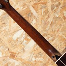 Taylor 814ce Special Edition Sapphire_7
