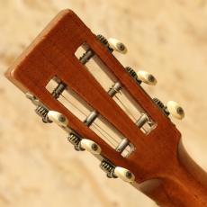 Washburn 1897 Style New Model Concert No.223 Jacaranda c1890-1900s_9
