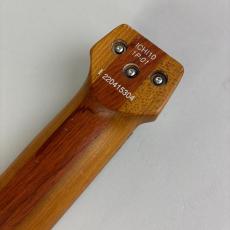 Ibanez ICHI10_8
