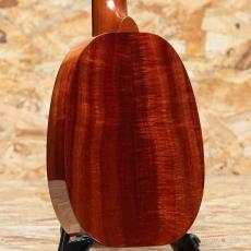 Kamaka HP-1D Soprano Pineapple 2020_2