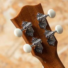 Truth THC-6233 Concert_9
