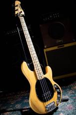 MUSIC MAN StingRay / 2013