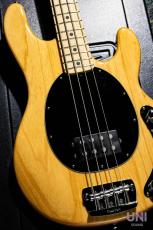 MUSIC MAN StingRay / 2013_10