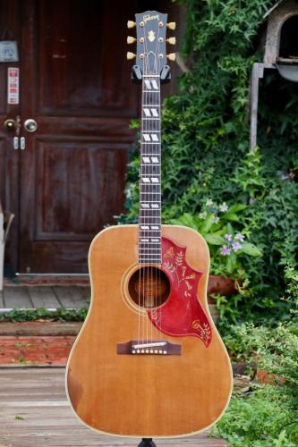Gibson Hummingbird
