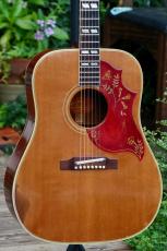 Gibson Hummingbird_3