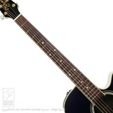Takamine DMP552C DBS【24回無金利対象品】_5