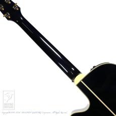 Takamine DMP552C DBS【24回無金利対象品】_6