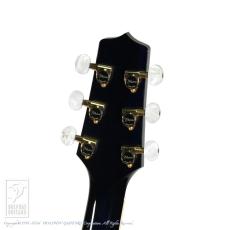 Takamine DMP552C DBS【24回無金利対象品】_8