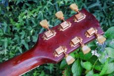 Gibson Hummingbird_8