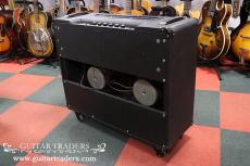Park 1979 100W Master Volume 2x12 Combo_4