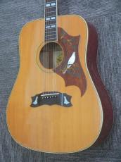 Greco Model 303 Doveモデル_3