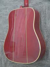 Greco Model 303 Doveモデル_4
