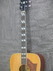 Greco Model 303 Doveモデル_9
