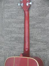Greco Model 303 Doveモデル_10