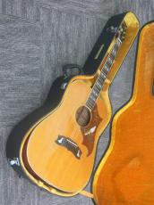 Greco Model 303 Doveモデル_11