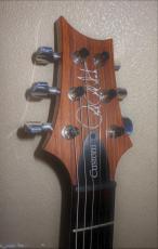 Paul Reed Smith [PRS] CUSTOM24_3