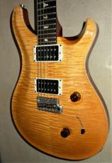 Paul Reed Smith [PRS] CUSTOM24_7