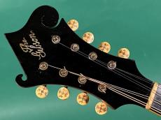 Gibson F-2_5