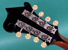 Gibson F-2_6