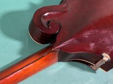 Gibson F-2_9