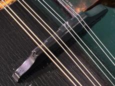 Gibson F-2_10