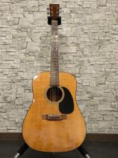 Martin 175th Anniversary D-18 2008_12