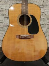 Martin 175th Anniversary D-18 2008_13