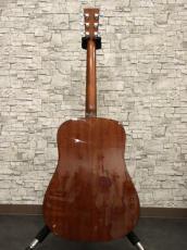 Martin 175th Anniversary D-18 2008_14