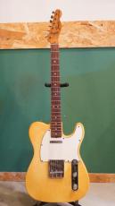 Fender 1974 Telecaster Blonde / Rose_12