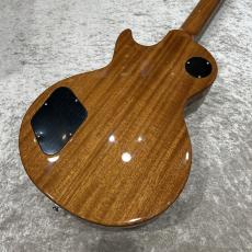 Tokai LS-101-WA-Gold Top- #2652997【3.95kg】_10