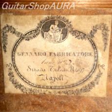 Gennaro Fabricatore　[ジェンナーロ・ファブリカトーレ] 19世紀ギター_5