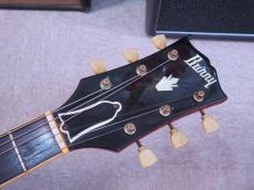 Burny RSG-75-69 SG Standard_6