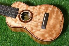 Antar Soprano Figued Maple #2052675