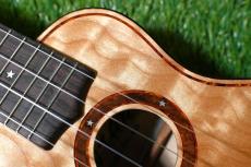 Antar Soprano Figued Maple #2052675_9