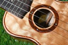 Antar Soprano Figued Maple #2052675_10