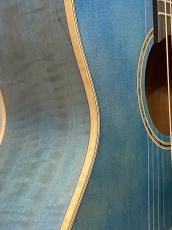 Takamine CTM DMP700 ~SORA~【無金利分割OK】_10