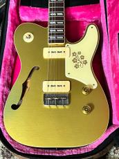 Bruno Guitars Bruno TN-295 GT