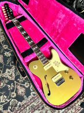 Bruno Guitars Bruno TN-295 GT_2